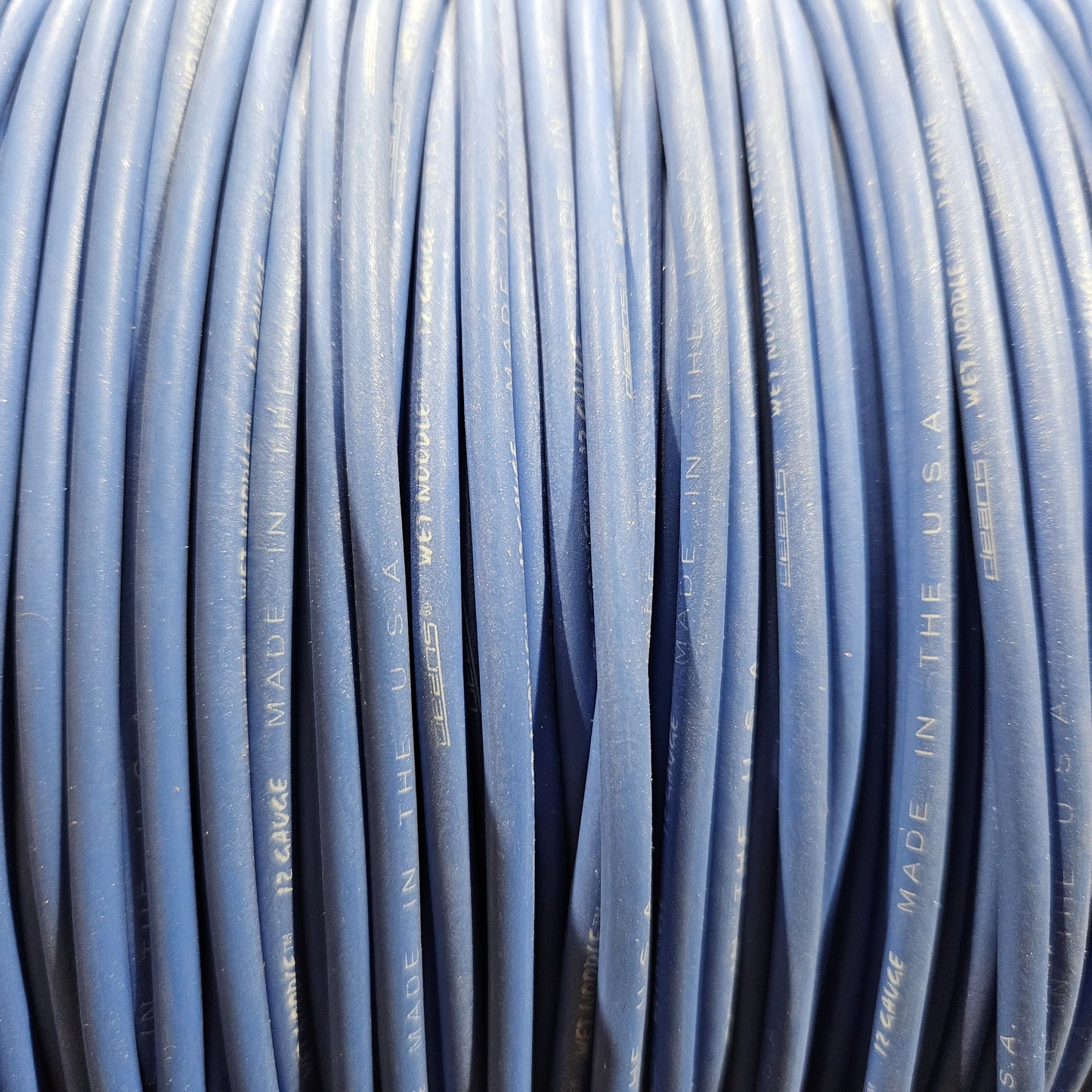 30' Blue 12 Gauge Wet Noodle Coiled